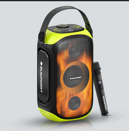 boAt 40 W Party Bluetooth Speaker, IP67 - Black / White