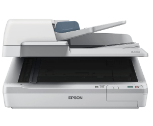 Epson Portable Scanner - 600 dpi, Wi-Fi + USB