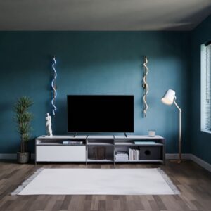 Sony 4K Ultra HD QLED Android TV - 120 Hz, 30 W Sound